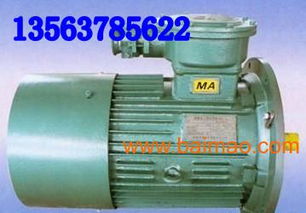 ybb30 4電動機(jī) ybb電機(jī)dsb電機(jī)ybj電,ybb30 4電動機(jī) ybb電機(jī)dsb電機(jī)ybj電生產(chǎn)廠家,ybb30 4電動機(jī) ybb電機(jī)dsb電機(jī)ybj電價格