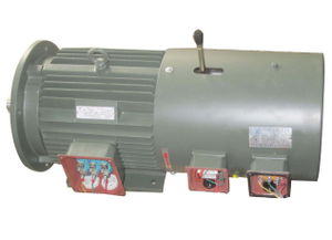 誰見過這種電機,哪個電機廠生產